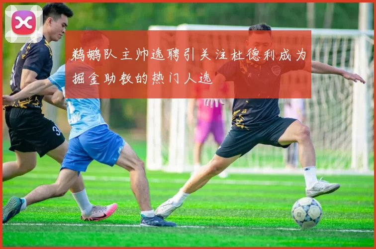 鹈鹕队主帅选聘引关注杜德利成为掘金助教的热门人选